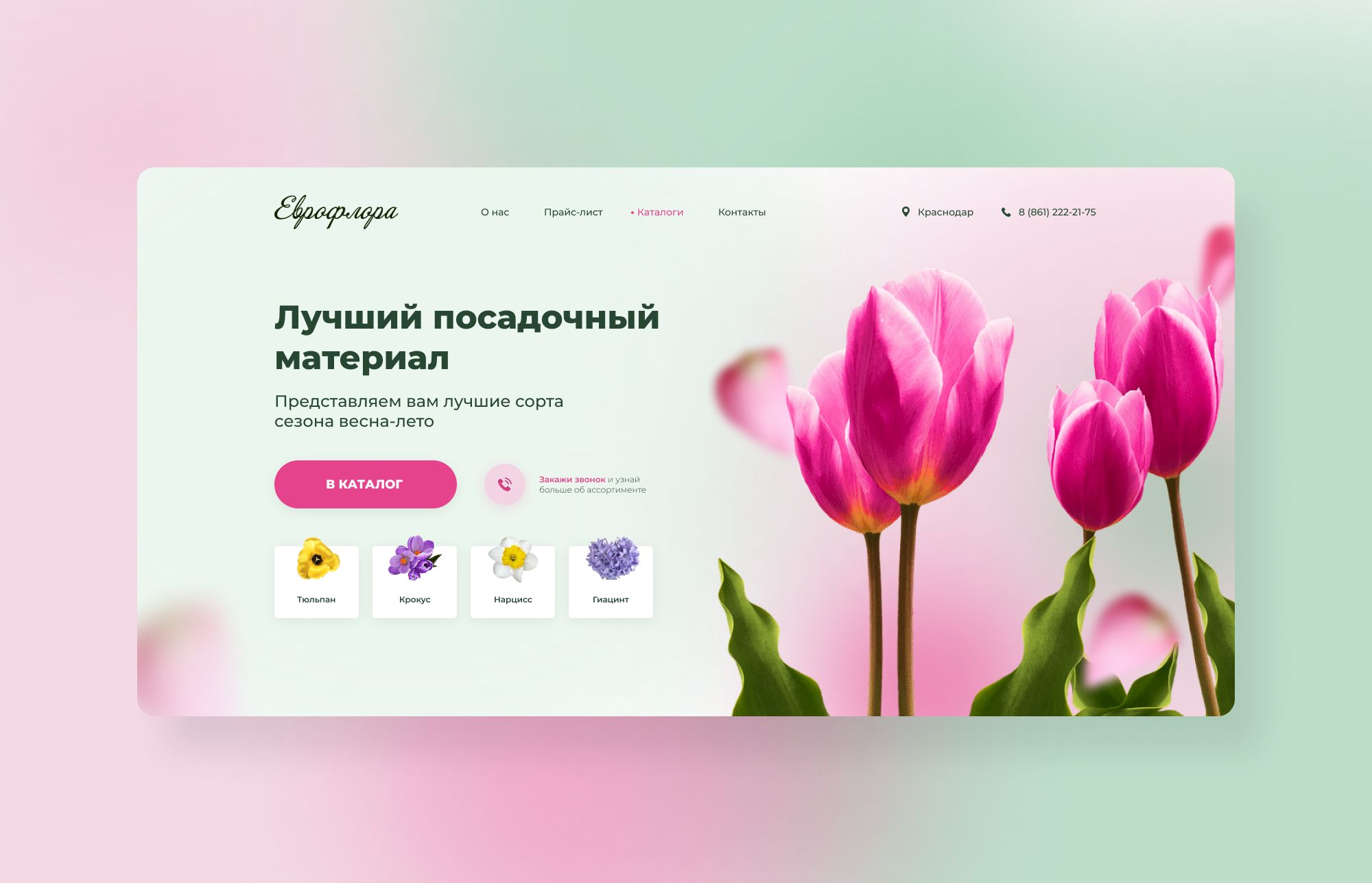 Веб-сайт для http://euflora.ru/ - дизайнер spizdets