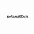 Лого и фирменный стиль для ЭвоАватар EVOAVATAR - дизайнер anstep