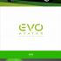 Лого и фирменный стиль для ЭвоАватар EVOAVATAR - дизайнер luishamilton