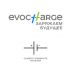 Лого и фирменный стиль для ЭвоАватар EVOAVATAR - дизайнер lamiica