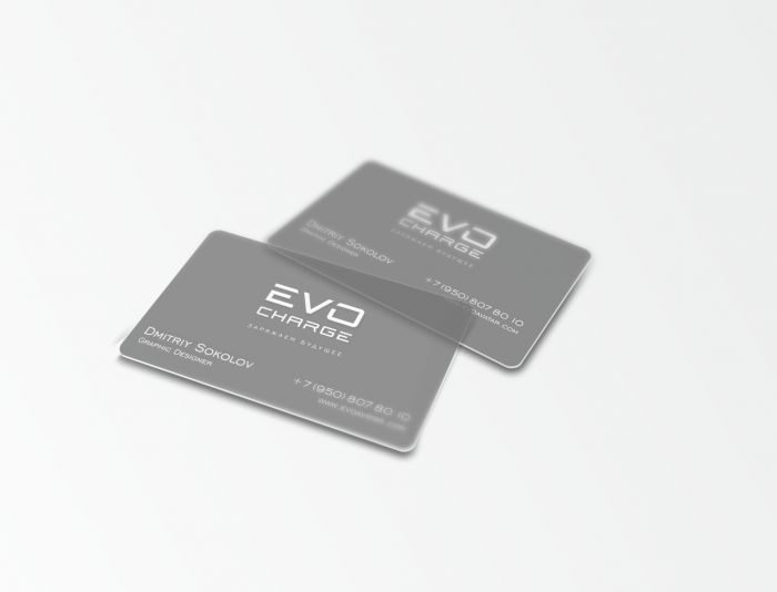 Лого и фирменный стиль для ЭвоАватар EVOAVATAR - дизайнер Klaus