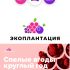 Лого и фирменный стиль для Экоплантация  - дизайнер stanislavbrehov