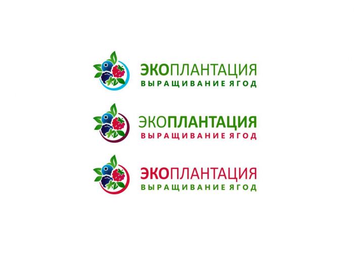 Лого и фирменный стиль для Экоплантация  - дизайнер yulyok13