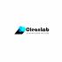 Логотип для CleanLab - дизайнер YUNGERTI