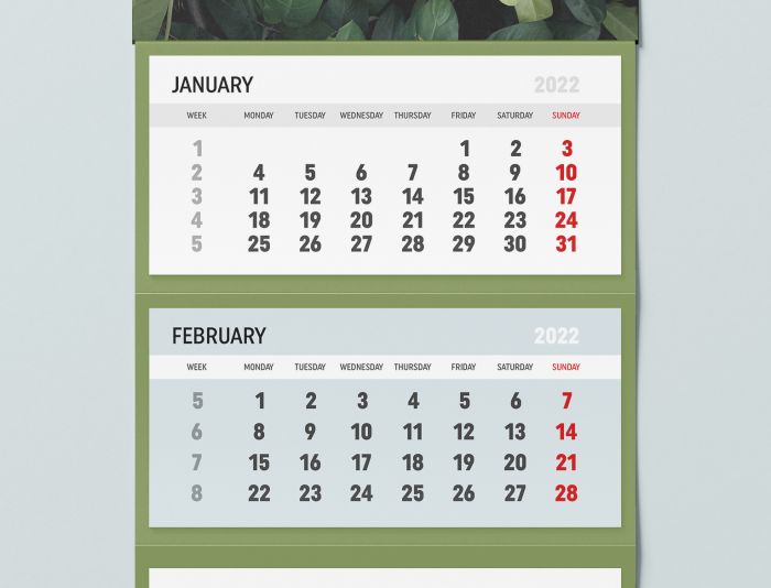 Иллюстрация для Календарь - дизайнер _Janusjka_