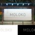 Логотип для Moloko - дизайнер robert3d