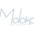 Логотип для Moloko - дизайнер Ayolyan