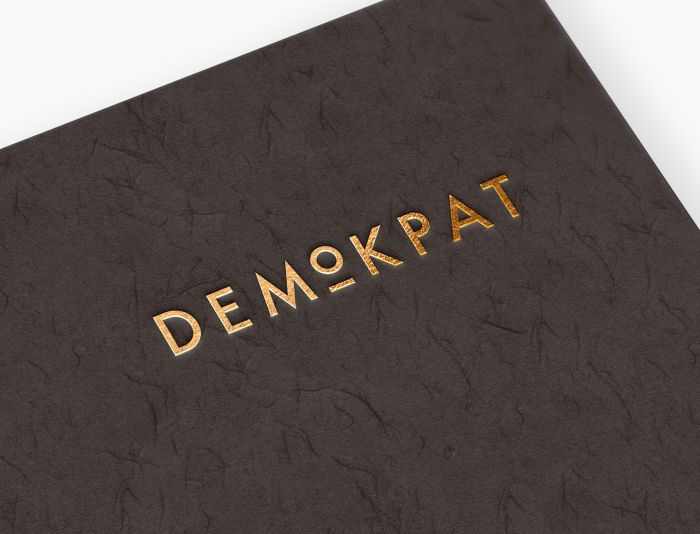 Лого и фирменный стиль для DEMOKPAT - дизайнер Iceface