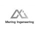 Логотип для Меринг инжиниринг (Mering Ingeneering) - дизайнер yulyok13