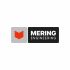 Логотип для Меринг инжиниринг (Mering Ingeneering) - дизайнер mudreza