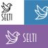 Логотип для Selti - дизайнер ProMari