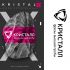 Фирм. стиль на основе логотипа для nail-бренда - дизайнер Valerinka
