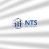 Логотип для (NTS) New Trade System   Нью трейд систем - дизайнер NinaUX