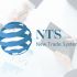 Логотип для (NTS) New Trade System   Нью трейд систем - дизайнер LizArt_