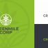Лого и фирменный стиль для GreenMile Corp  - дизайнер markosov