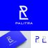 Логотип для PALITRA - дизайнер tokirru