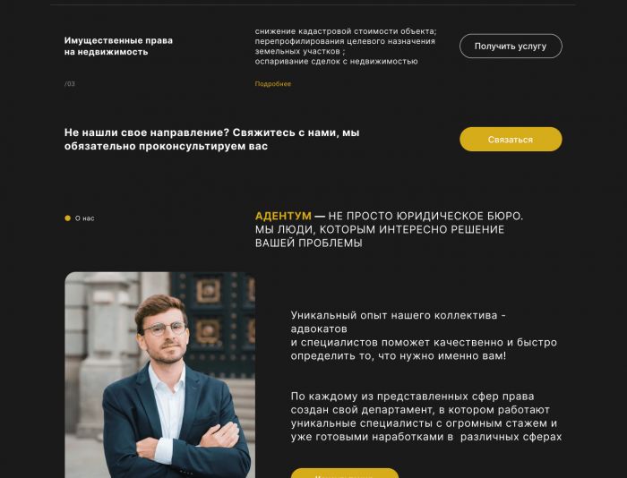 Landing page для http://adentum.msk.ru/ - дизайнер NikiKim14
