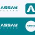 Логотип для AssayVector - дизайнер 19_andrey_66