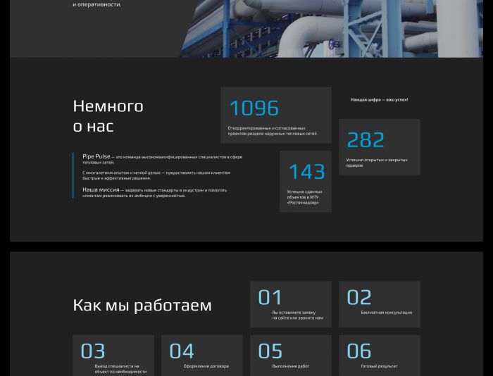 Веб-сайт для pipepulse.ru - дизайнер HannaMinina