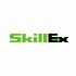 Логотип для SkillEx.ru - дизайнер GAMAIUN