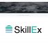 Логотип для SkillEx.ru - дизайнер HelenCh
