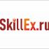 Логотип для SkillEx.ru - дизайнер MAG-Designer