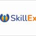 Логотип для SkillEx.ru - дизайнер MAG-Designer