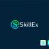 Логотип для SkillEx.ru - дизайнер malito