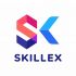Логотип для SkillEx.ru - дизайнер Aleksandr88