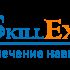 Логотип для SkillEx.ru - дизайнер ISSUART