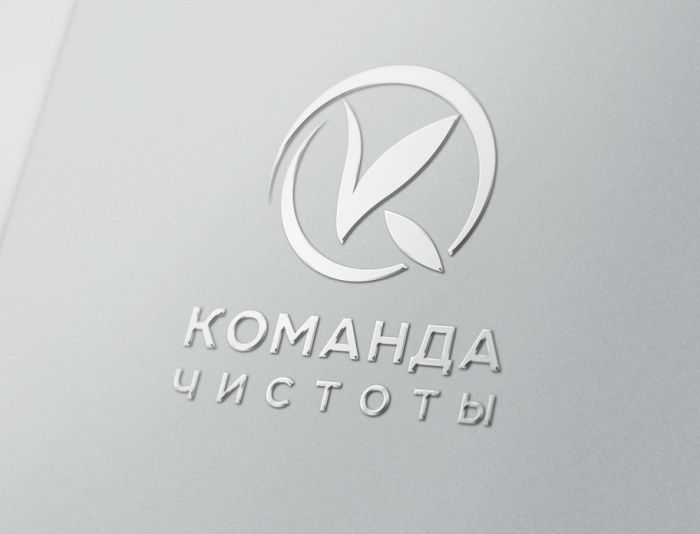Логотип для Команда Чистоты - дизайнер zozuca-a