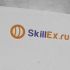 Логотип для SkillEx.ru - дизайнер zozuca-a