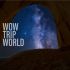 Логотип для Wow Trip World - дизайнер NinaUX