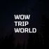 Логотип для Wow Trip World - дизайнер MaximKutergin