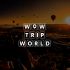 Логотип для Wow Trip World - дизайнер katia1992