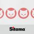 Лого и фирменный стиль для SITAMA - дизайнер GAMAIUN