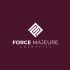 Лого и фирменный стиль для Force Majeure  - дизайнер erkin84m