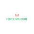 Лого и фирменный стиль для Force Majeure  - дизайнер anlion