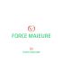 Лого и фирменный стиль для Force Majeure  - дизайнер anlion