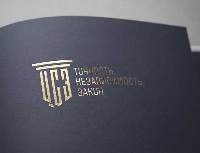 Логотип для ЦСЭ - дизайнер ironbrands