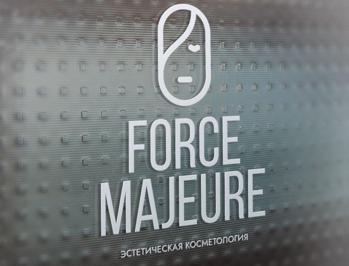 Лого и фирменный стиль для Force Majeure  - дизайнер laradice