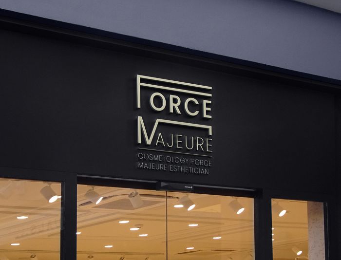 Лого и фирменный стиль для Force Majeure  - дизайнер SmolinDenis