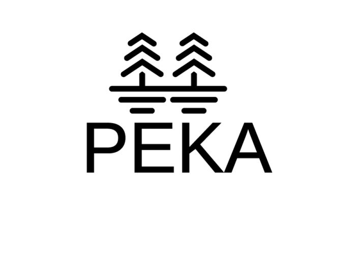 Логотип для Река - дизайнер NinaUX