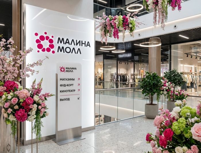 Логотип для МАЛИНА МОЛЛ - дизайнер n46n