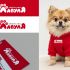 Лого и фирменный стиль для ЛапулЯ - дизайнер MarinaDX