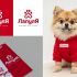 Лого и фирменный стиль для ЛапулЯ - дизайнер MarinaDX