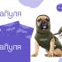 Лого и фирменный стиль для ЛапулЯ - дизайнер LianaVeret