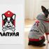 Лого и фирменный стиль для ЛапулЯ - дизайнер n46n