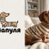 Лого и фирменный стиль для ЛапулЯ - дизайнер n46n