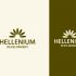 Логотип для греческого застройщика Hellenium Development - дизайнер anlion